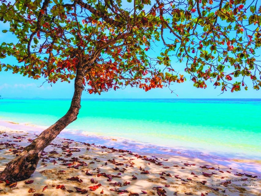 Ko Lanta: Koh Rok & Koh Haa Snorkelling Tour by Speedboat - Five things to know before you book