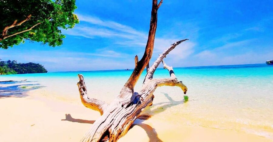 Ko Lanta: Koh Rok & Koh Haa Snorkelling Tour by Speedboat - What this Ko Lanta snorkeling trip is really like