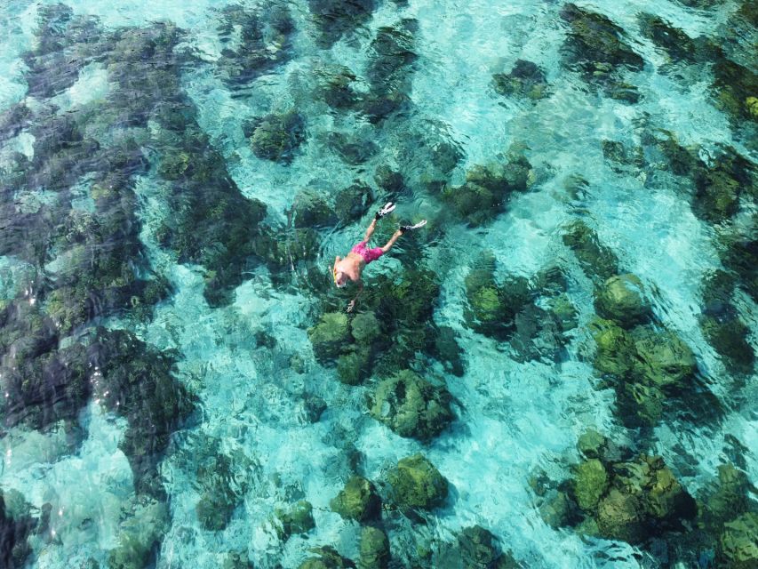 Ko Lanta: Koh Rok & Koh Haa Snorkelling Tour by Speedboat - The return ride and resort drop-off