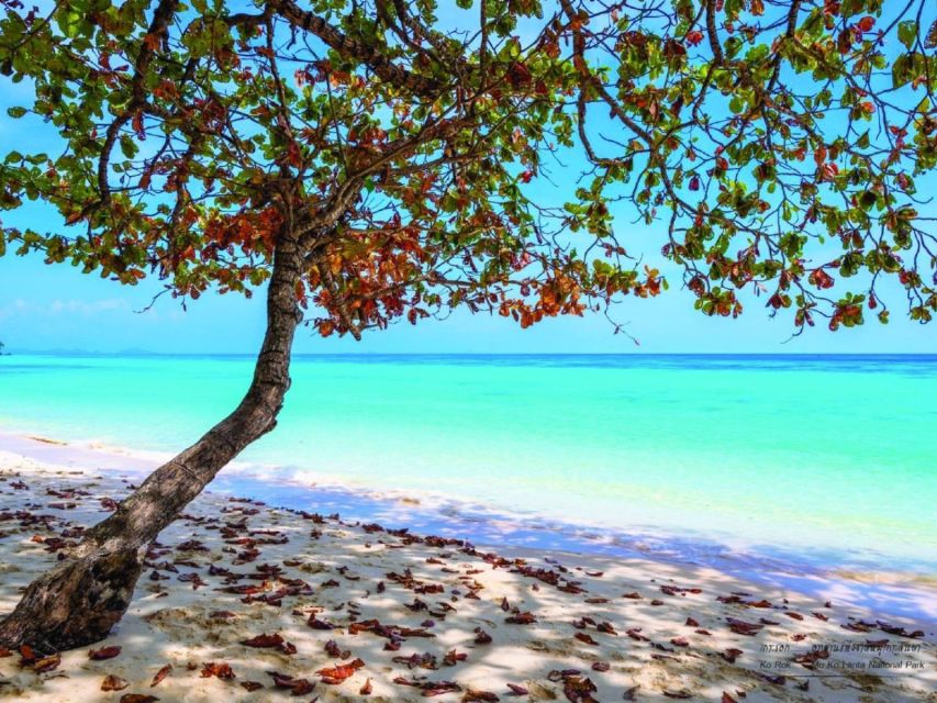 Ko Lanta: Private Longtail Rok Island Snorkeling Day Trip - Who should book this Ko Rok trip?
