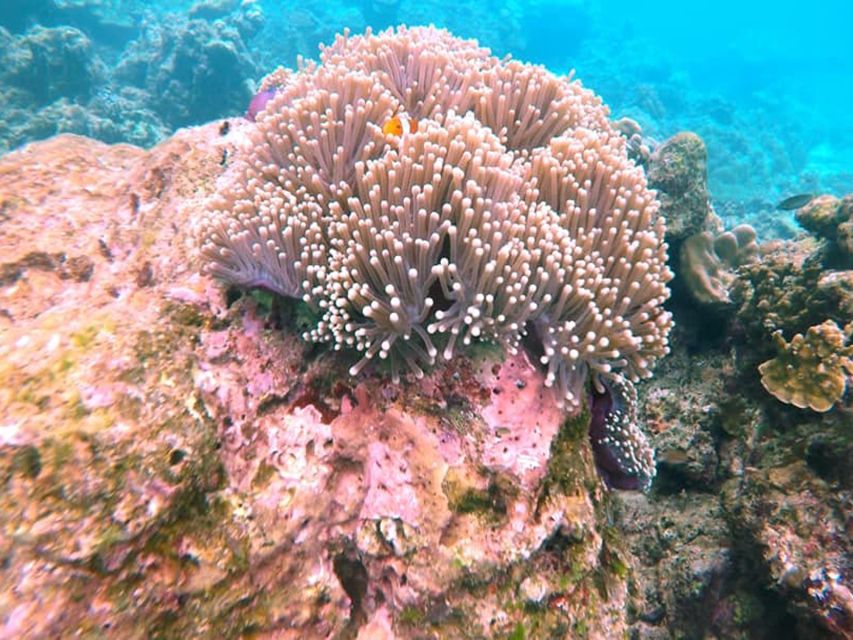 Ko Lanta: Private Longtail Rok Island Snorkeling Day Trip - The first snorkeling stop around 11:00 AM