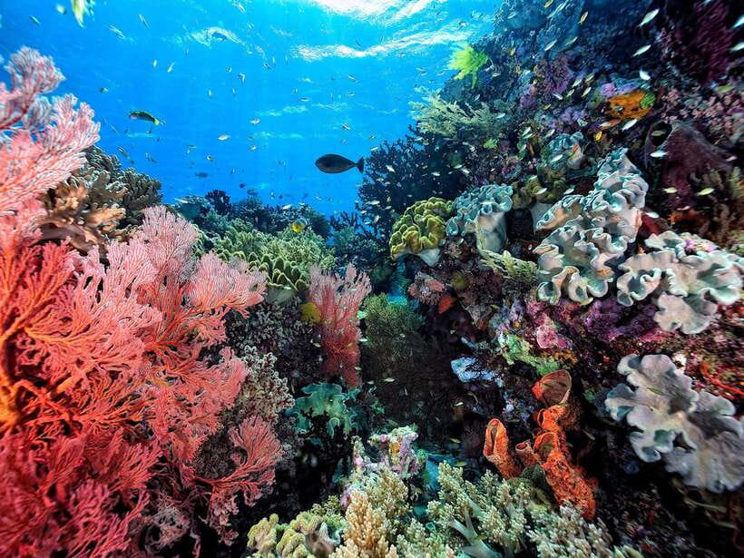 Ko Lanta: Snorkeling Adventure Tour to Koh Rok and Koh Haa - Leaving Ko Lanta for the open sea