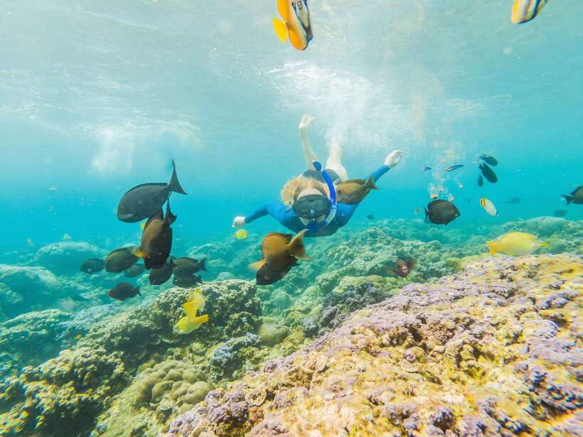 Ko Lanta: Snorkeling Adventure Tour to Koh Rok and Koh Haa - Food, equipment, and what to bring