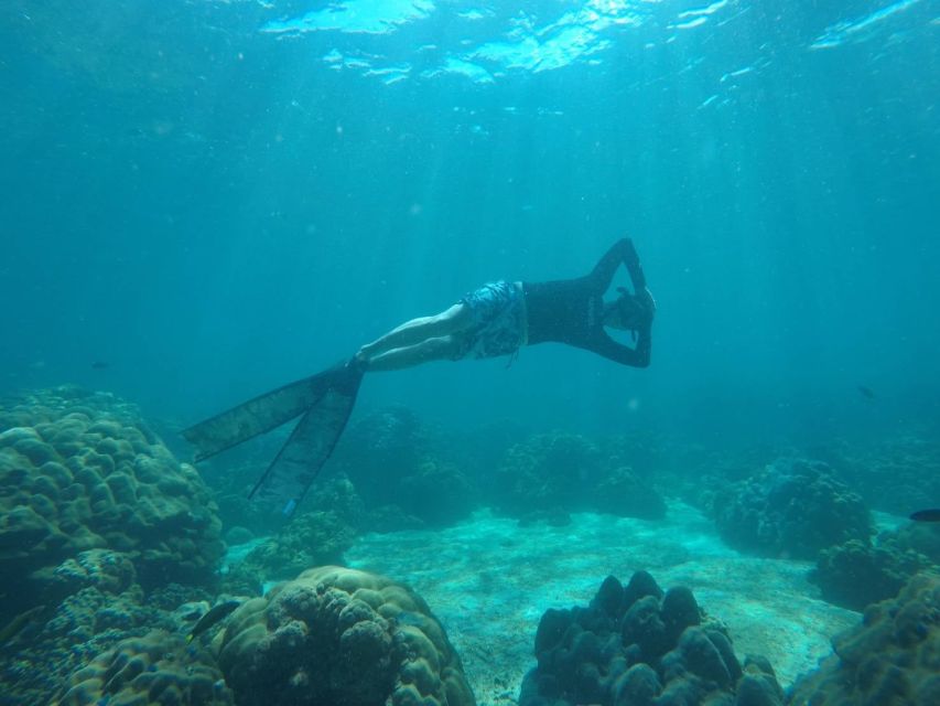 Ko Lipe: Outside Zone Snorkeling Trip by Longtail Boat - Why the outer zone is worth your time