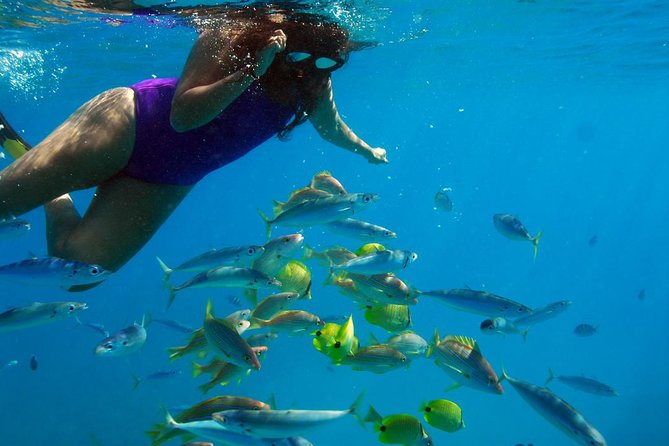 Ko Olina Catamaran Sail and Snorkel with Lunch - The return sail and the west coast view