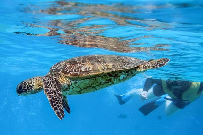 Ko Olina Catamaran Sail and Snorkel with Lunch - Is $195 per person a fair price?