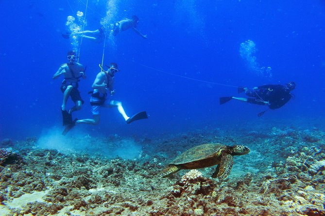 Ko Olina Catamaran Sail and Snorkel with Lunch - Practical tips before you book