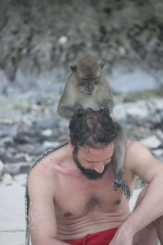 Ko Phi Phi Don: Speedboat Day Trip with Shark Snorkeling - Monkey Beach: entertaining, but keep your distance