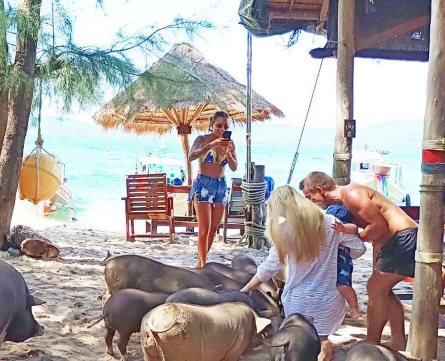 Ko Samui: Pig Island Snorkeling and Koh Tan Speedboat Tour - What happens at the Bang Khao pier