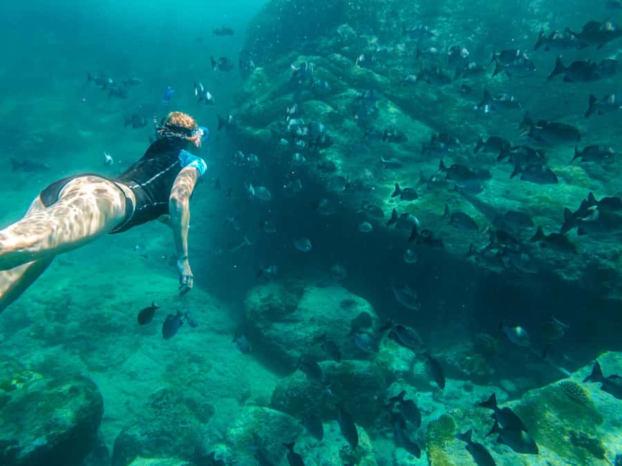 Ko Samui: Unique Ko Tao & Ko Nang Yuan Snorkeling Day Trip - Five things to know before booking
