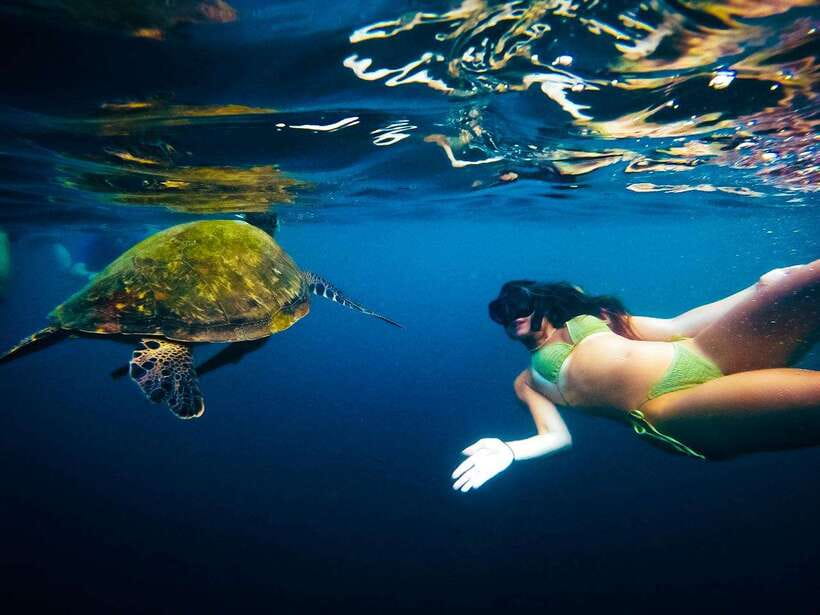 Ko Tao: Late Riser Snorkeling Tour with Lunch and Photos - Who Will Like This Tour Most?