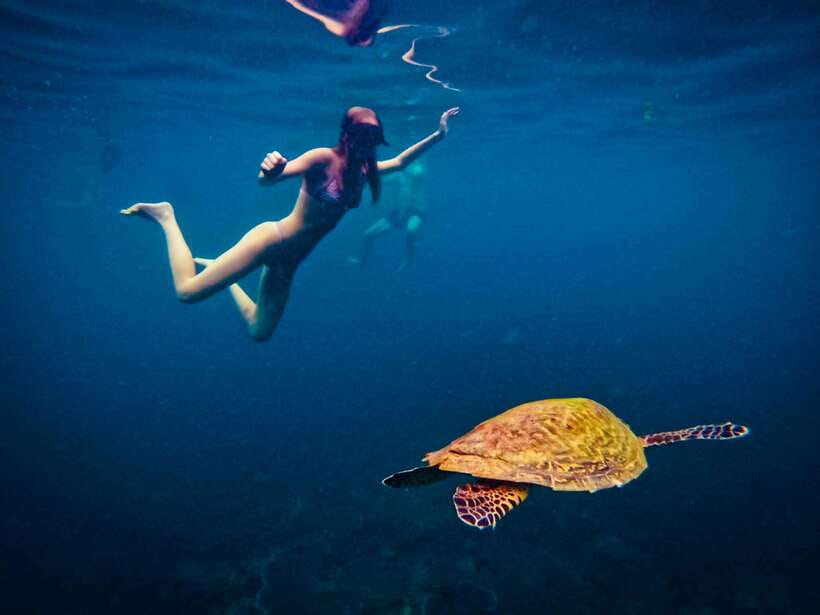 Ko Tao: Late Riser Snorkeling Tour with Lunch and Photos - Hin Wong Bay for Coral and Fish