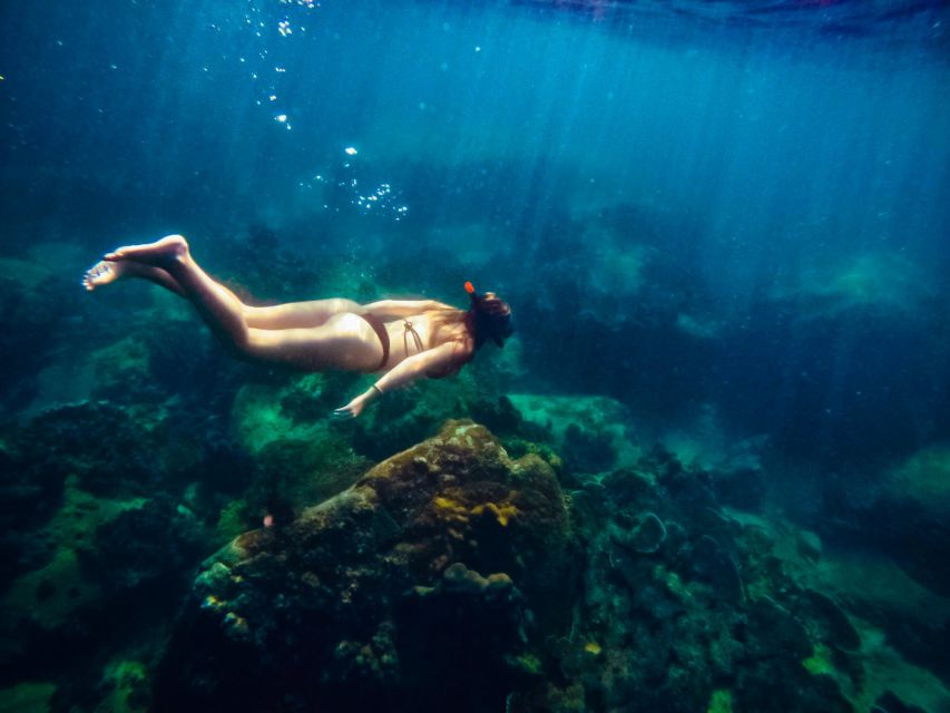 Ko Tao: Late Riser Snorkeling Tour with Lunch and Photos - Is $28 Good Value?