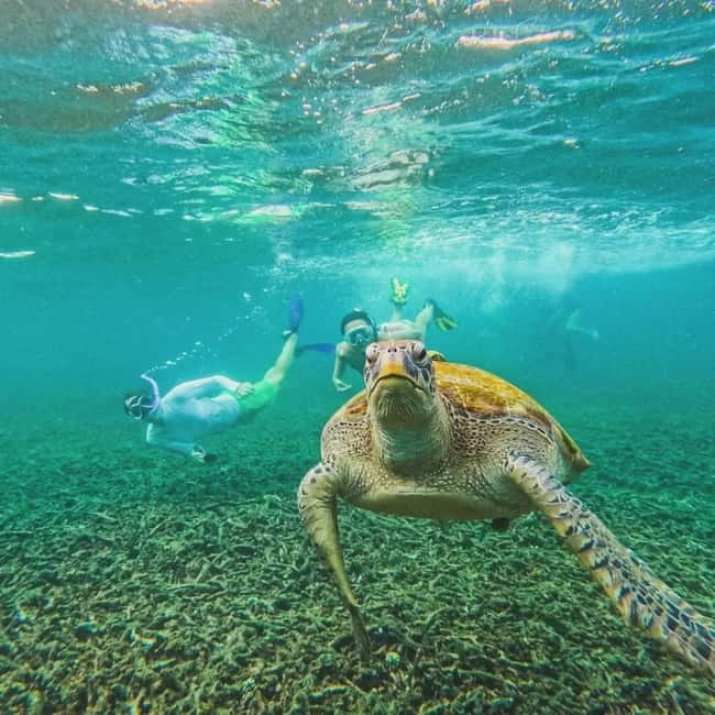 Ko Tao: Tao-Nangyuan Snorkeling Day Trip with Meals & Sunset - Aow Leuk offers easy swimming and plenty of fish