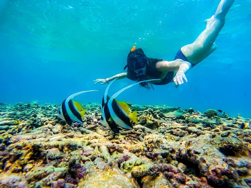 Ko Tao: Tao-Nangyuan Snorkeling Day Trip with Meals & Sunset - Weather can change the route