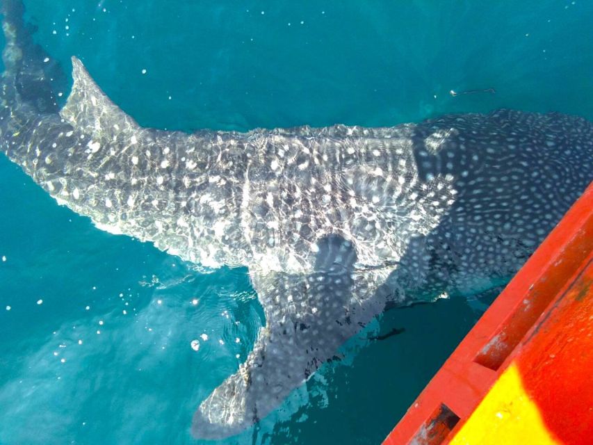 Koh Chang: Snorkeling Trip to Reefs or Wrecks with Lunch - Koh Yak Yai brings lunch and beach time