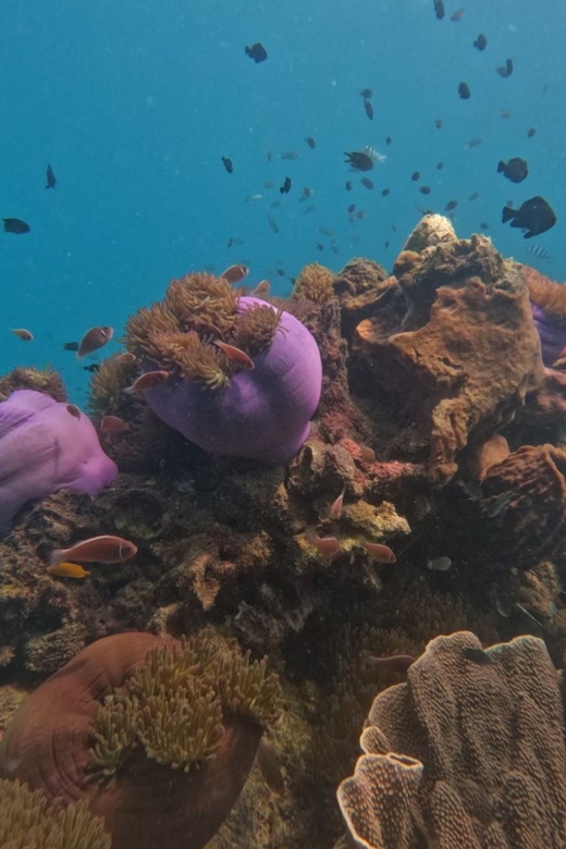 Koh Kood: Snorkeling Speedboat Tour with Lunch and Transfer - Speed, comfort, and sea conditions