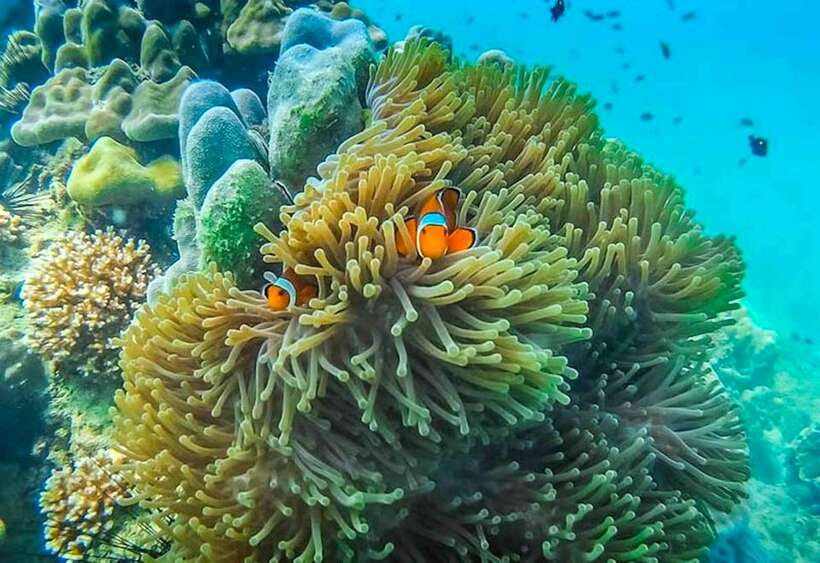 Koh Lanta: 4 Islands and Emerald Cave Snorkeling Trip - Koh Muk and the Emerald Cave highlight