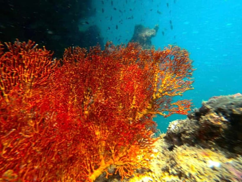 Koh Lanta: 4 Islands and Emerald Cave Snorkeling Trip - The early start from Koh Lanta