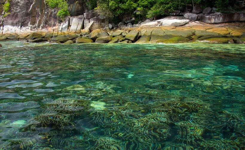 Koh Lipe: 5 Island Snorkeling Trip by Longtail Boat w/ Lunch - Koh Adang and the final fish-filled swim