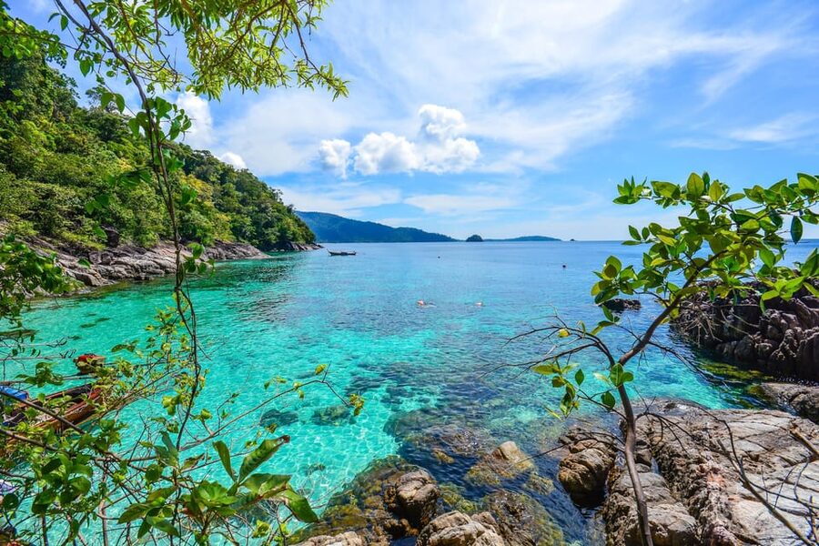 Koh Lipe: 7 Island Snorkeling Trip by Longtail Boat w/ Lunch - Lunch and monkeys at Monkey Beach