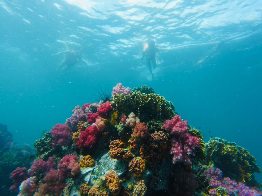 Koh Lipe: 7 Island Snorkeling Trip by Longtail Boat w/ Lunch - Koh Peung is aimed at serious snorkel time