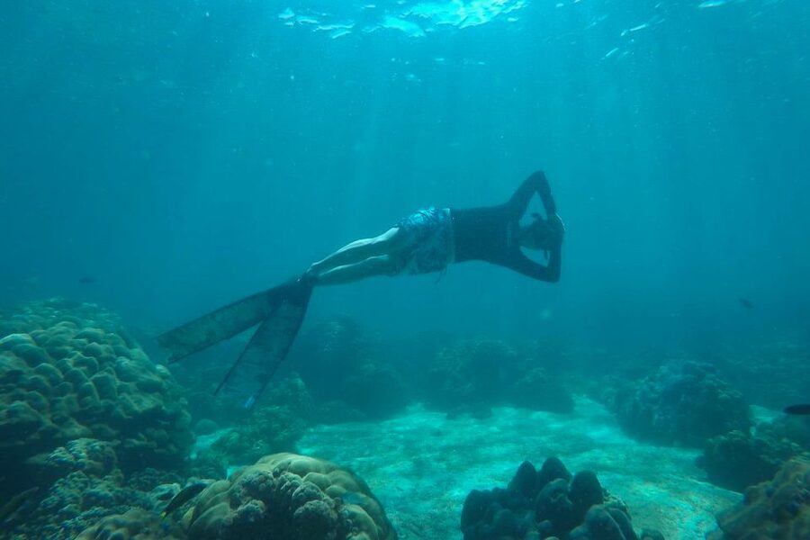 Koh Lipe: Full Day Multi-Island Snorkeling Trip with Lunch - Key Points Before You Book