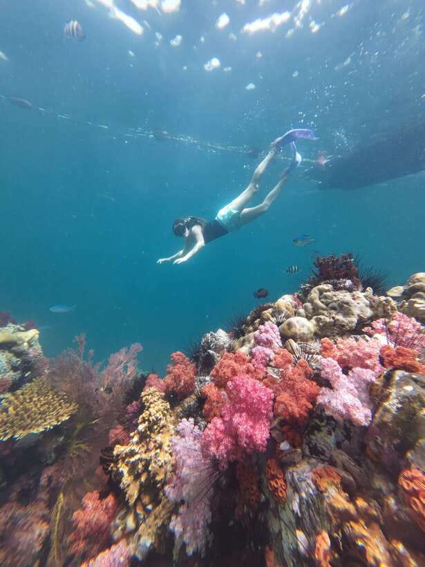 Koh Lipe: Half-Day Snorkeling (Morning/Afternoon/Sunset) - What the GoPro photos add