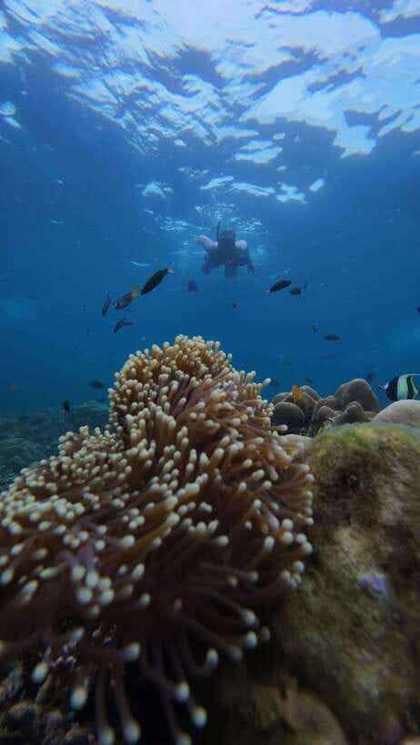 Koh Lipe: Half-Day Snorkeling (Morning/Afternoon/Sunset) - The longtail boat ride around Koh Lipe