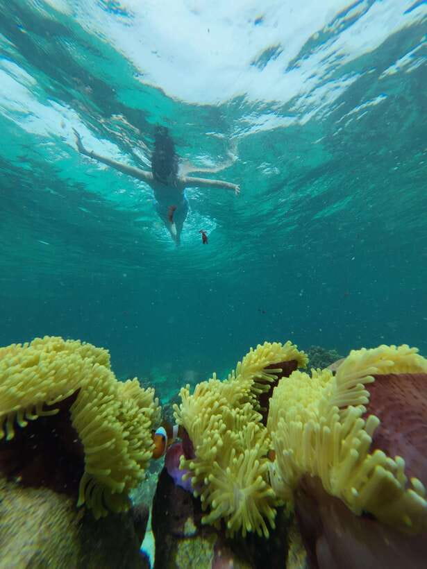 Koh Lipe: Half-Day Snorkeling (Morning/Afternoon/Sunset) - Hin Ngam Island and the black stone beach