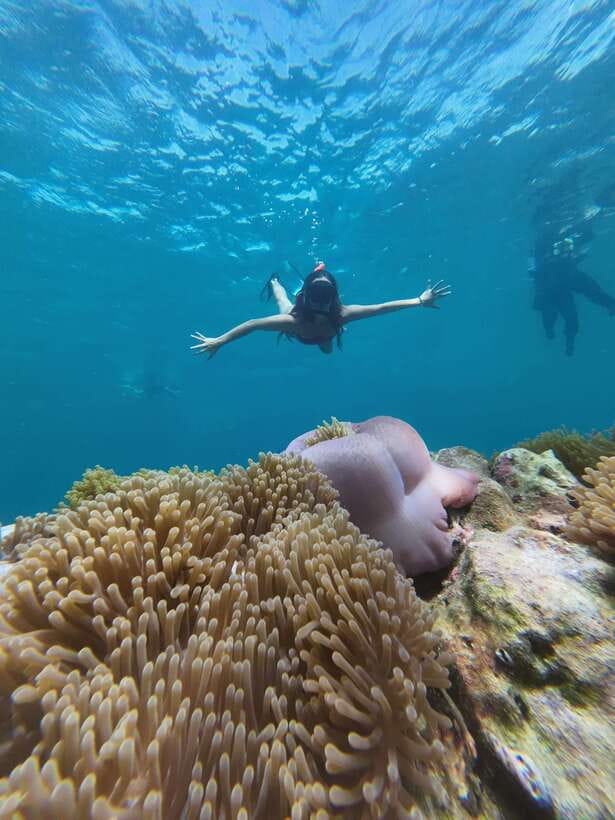 Koh Lipe: Half-Day Snorkeling (Morning/Afternoon/Sunset) - Adang Island and Sailing Boat Bay