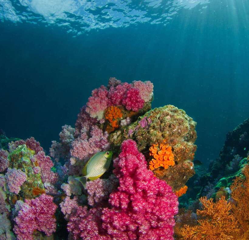 Koh Lipe: Island Hopping by Private Longtail Boat w/ Snorkel - Koh Hin Ngam and its black-stone shore