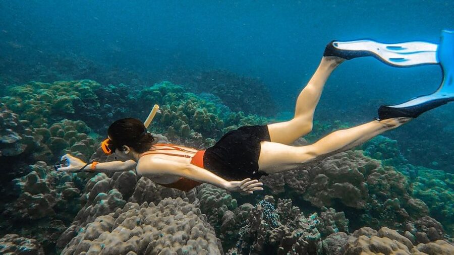 Koh Lipe: Longtail Boat Snorkeling Trip Program A - Jabang Island and the seven-color coral