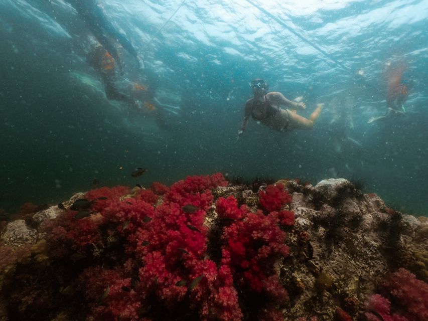 Koh Lipe: Longtail Boat Snorkeling Trip Program A - Meeting at Walking Street and getting ready
