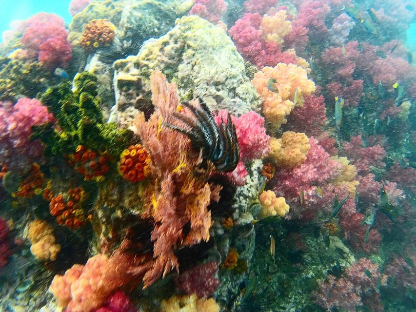 Koh Lipe Snorkeling Trip 6 hours Trip1 - Food, equipment, and what the $22 price covers