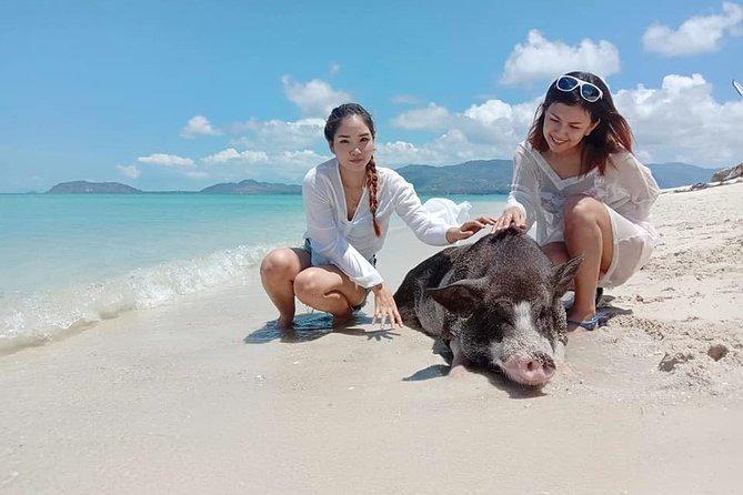 Koh Madsum and Koh Tan Snorkeling Trip By Speedboat From Koh Samui - Why this Koh Samui island trip works