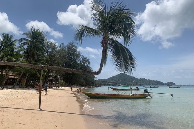 Koh Madsum and Koh Tan Snorkeling Trip By Speedboat From Koh Samui - Koh Madsum and the Pig Island question