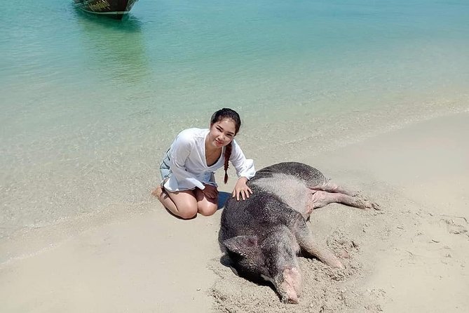 Koh Madsum and Koh Tan Snorkeling Trip By Speedboat From Koh Samui - What the strongest day looks like