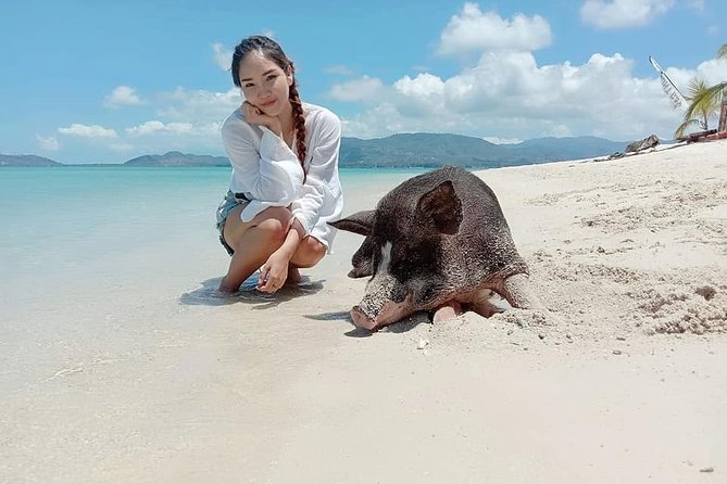 Koh Madsum and Koh Tan Snorkeling Trip By Speedboat From Koh Samui - Who should book this trip