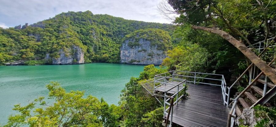 Koh Samui: Day Tour to Ang Thong with Kayak, Snorkel & Lunch - Snorkeling beside limestone cliffs