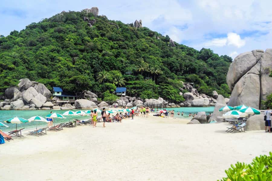 Koh Samui: Koh Tao and Nangyuan Snorkeling Tour with Lunch - Kayaking from October through March
