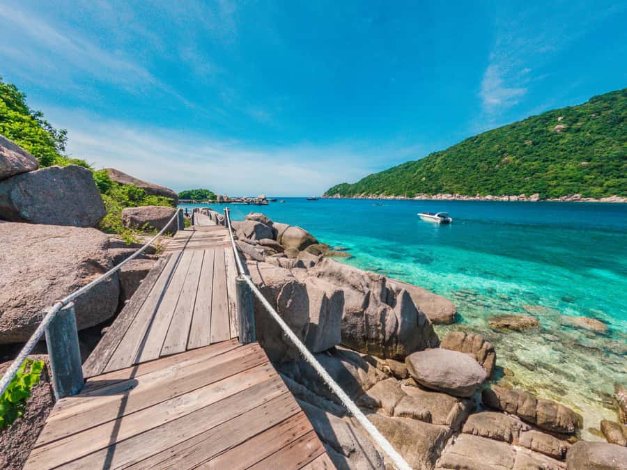 Koh Samui: Koh Tao and Nangyuan Snorkeling Tour with Lunch - Koh Nangyuan: sand, snorkeling, and sun