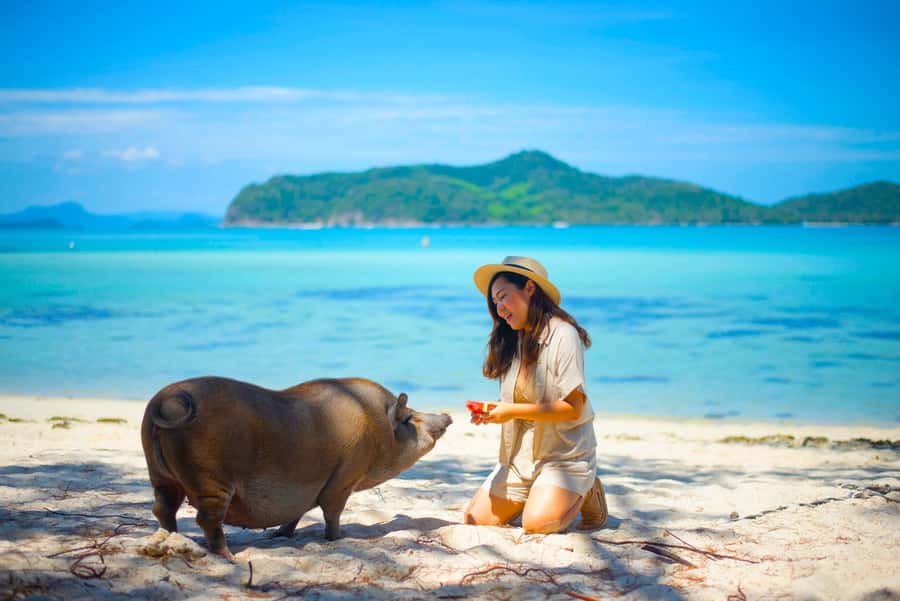 Koh Samui: Private Longtail Boat to Pig Island with Snorkel - The trip begins at Thong Krut Pier