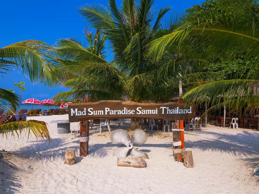 Koh Samui: Private Longtail Boat to Pig Island with Snorkel - What the $93 price really buys you