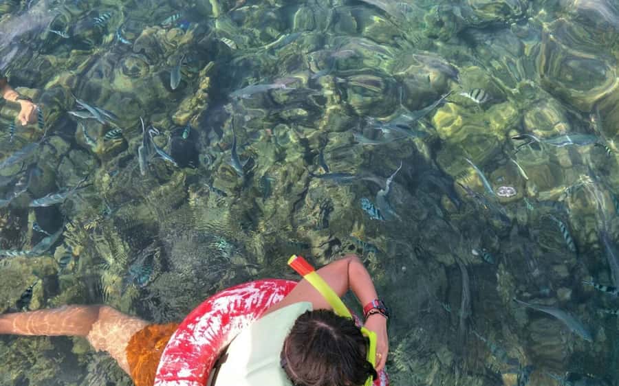 Koh Samui: Snorkeling and Kayaking by Speedboat - The good, the weak, and the practical verdict