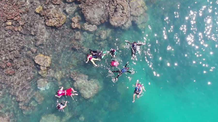 Koh Samui: Sunset Pig Island and Snorkeling Koh Tan w/Dinner - A relaxed afternoon from Koh Samui