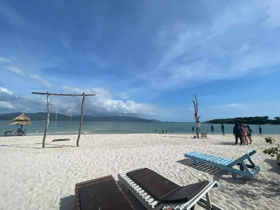 Koh Samui: Sunset Pig Island and Snorkeling Koh Tan w/Dinner - Should you book the Koh Tan and Pig Island tour?