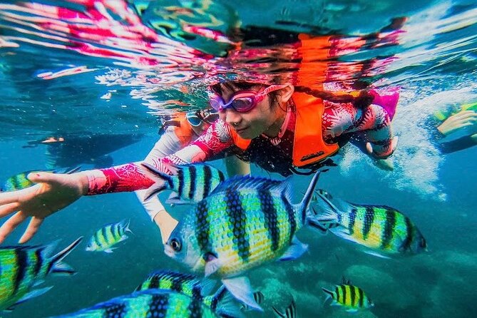 Koh Tao and Koh Nang Yuan Snorkel Tour (Speedboat from Koh Samui) - Leaving Koh Samui for a 90-minute ride