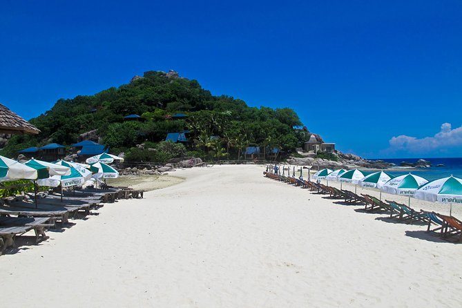 Koh Tao and Koh Nang Yuan Snorkel Tour (Speedboat from Koh Samui) - Who will enjoy this tour most