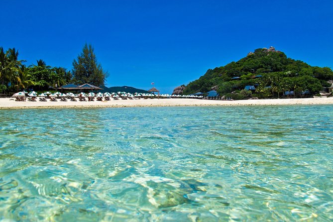 Koh Tao and Koh Nang Yuan Snorkel Tour (Speedboat from Koh Samui) - Should you book the Koh Tao and Koh Nang Yuan tour?